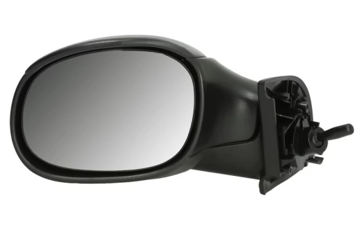 BLIC 5402-04-1112851P Wing mirror