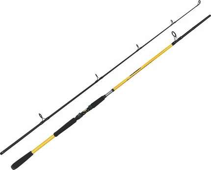Zfish Rod Kodiak 2,40m/100-250g