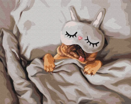 Tapybos rinkinys "Sleeping Beauty"