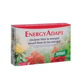 Santiveri EnergyAdapt 24 Tablets kaina