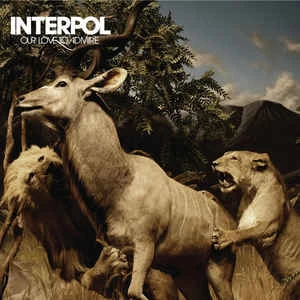 CD Interpol - Our Love To Admire