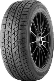 245/40R18 DOUBLESTAR DW09 93H