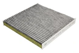 Salono filtras MANN-FILTER FP 22 021 kaina