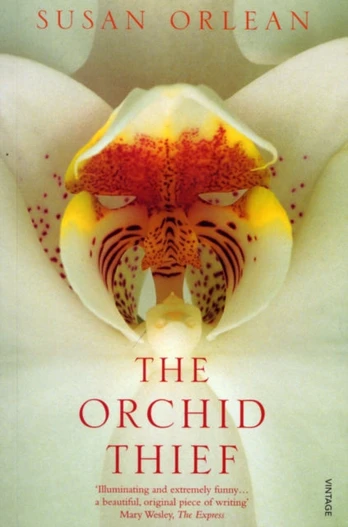 Orchid Thief 