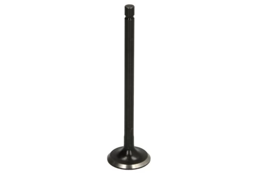 FRECCIA 6594/RNT Exhaust valve