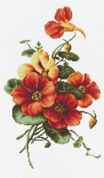 Flowers SBM3002