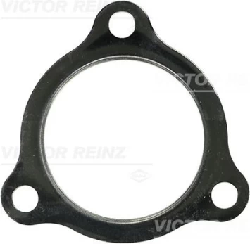 Išmetimo kolektoriaus tarpinė REINZ 71-25112-00