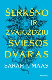 Šerkšno ir žvaigždžių šviesos dvaras kaina