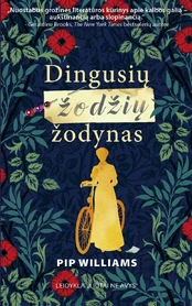 Dingusių žodžių žodynas kaina