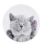 iLike Universal Pop Holder Cat