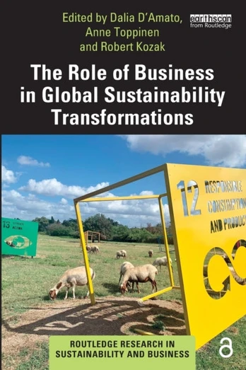Role of Business in Global Sustainability Transformations