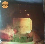 Vinyl (LP) Blackfield - Blackfield