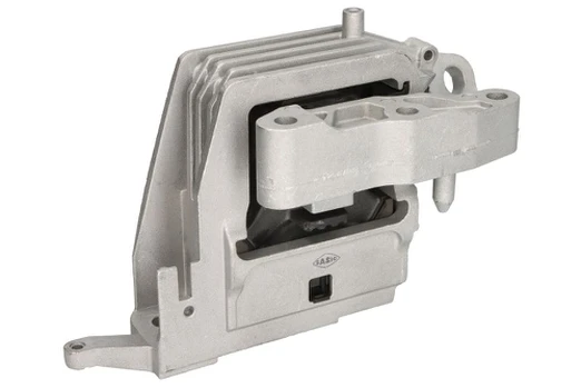 Variklio montavimas SASIC 2700173