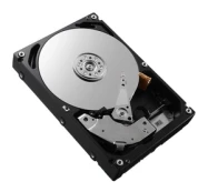 Kietasis diskas (HDD) Dell X4FKY, 3.5", 4 TB kaina