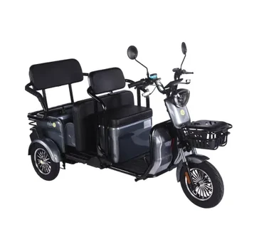 Elektrinis triratis RIDE-E LARGO (EEC) LARGO-GREY-60V-32AH