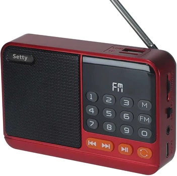 Radijas Setty SFM-01M