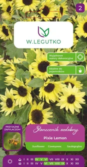 Nežinomas Sėklos saulėgrąža PIXIE LEMON, 2 g kaina