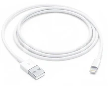 Apple cable Lightning - USB 1m, white kaina