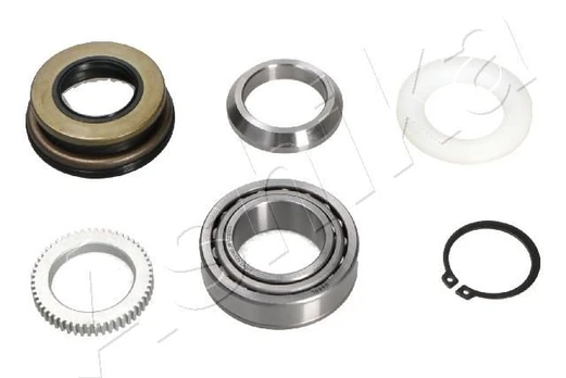 Rato guolio komplektas ASHIKA 44-21043