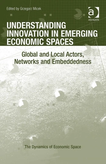 Understanding Innovation in Emerging Economic Spaces