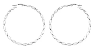 Troli Steel round earrings 2 - 5 cm kaina