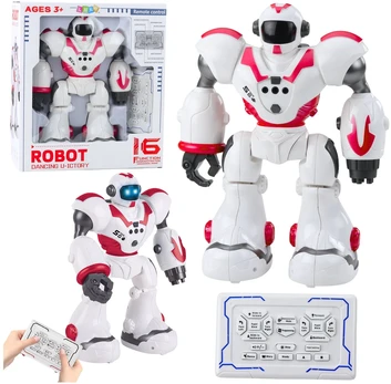 Interaktyvus nuotoliniu būdu valdomas robotas, rožinis