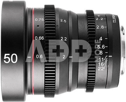 Meike MK 50mm T2.2 Micro 4/3