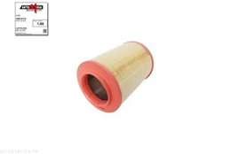 Oro filtras AUTOMEGA 180018110 kaina