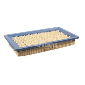 Oro filtras Briggs Stratton 710265