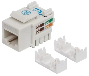 Jungtis Intellinet Cat6 UTP RJ45, balta