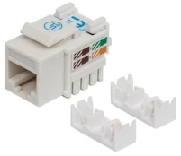 Jungtis Intellinet Cat6 UTP RJ45, balta kaina