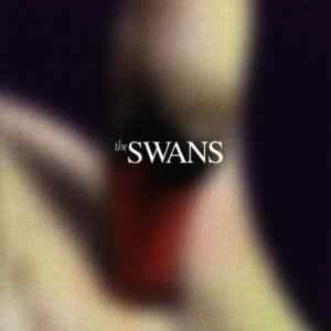 CD The Swans - Photographs & Letters