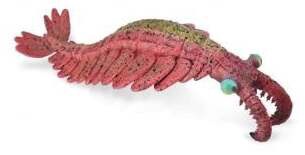 COLLECTA Anomalocaris (L) 88977