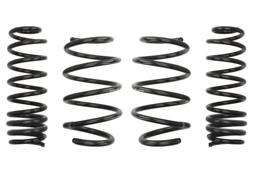 Žeminanti spyruoklė (30/30 mm) Pro-Kit (4 vnt.) E10-75-012-03-22