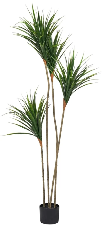 Beliani Dirbtinis augalas DRACAENA DRACO 165 cm Žalias