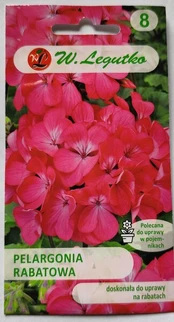 Pelargonijos sodo rožinis W.Legutko