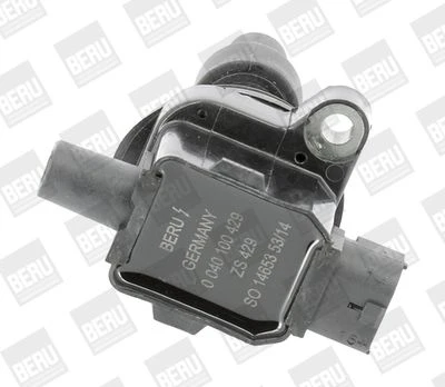 Ritė, uždegimas BorgWarner (BERU) ZS429