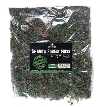 Aquario Terrario forest moss (miško samana) 30x25cm