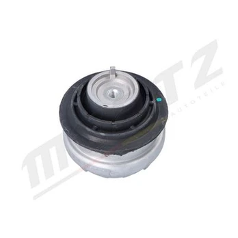 Variklio montavimas MERTZ M-S5182