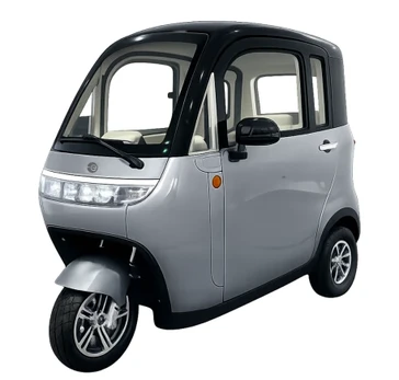 Elektrinis triratis mini automobilis RIDE-E DOMI (EEC)