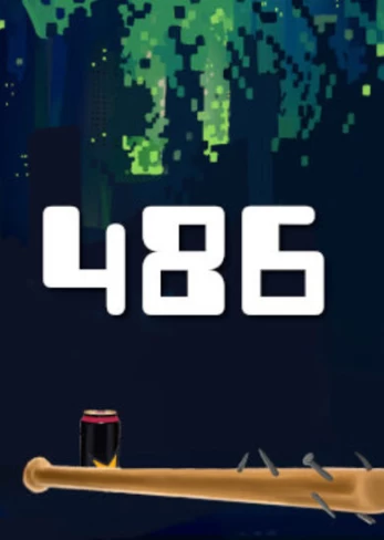 486 PC