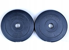 Spartan Loaded cemento plokštė 2,5kg kaina