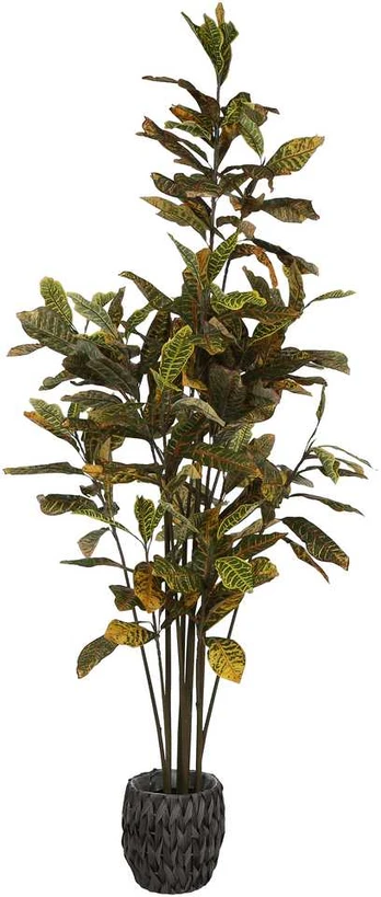 Dirbtinis augalas Krotonas, 190 cm