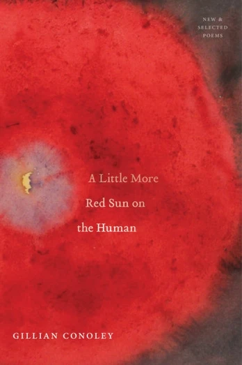 Little More Red Sun on the Human