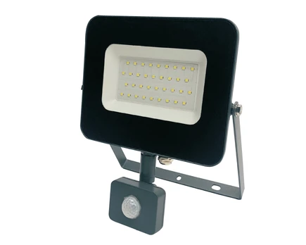 Prožektorius Standart E024EI, 30 W, 2550 lm, 4000 °K, IP65, pilkas