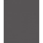 Spalvotas kartonas A1/160g grafitinis kaina