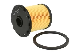 Kuro filtras DELPHI HDF914 kaina
