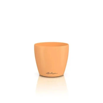 DECO 12, papaya