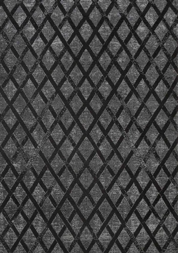Fargotex Kilimas FERRY 200x300