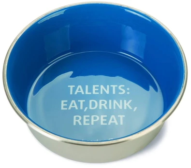 Dubenėlis maitinimui Beeztees Talents, 16 cm x 16 cm